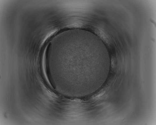 X0000097670396200803071559