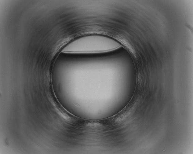 X0000097670397200803071559