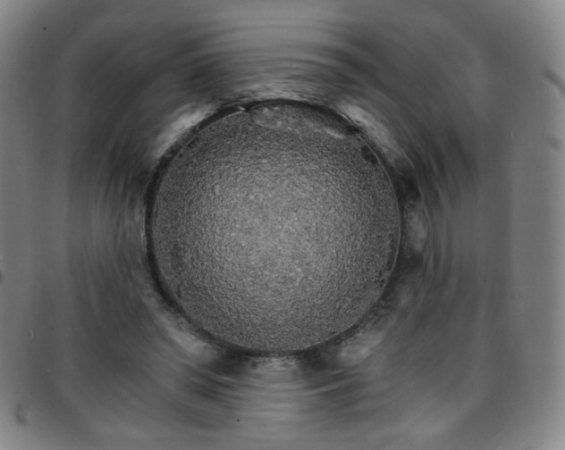 X0000097670398200803071559