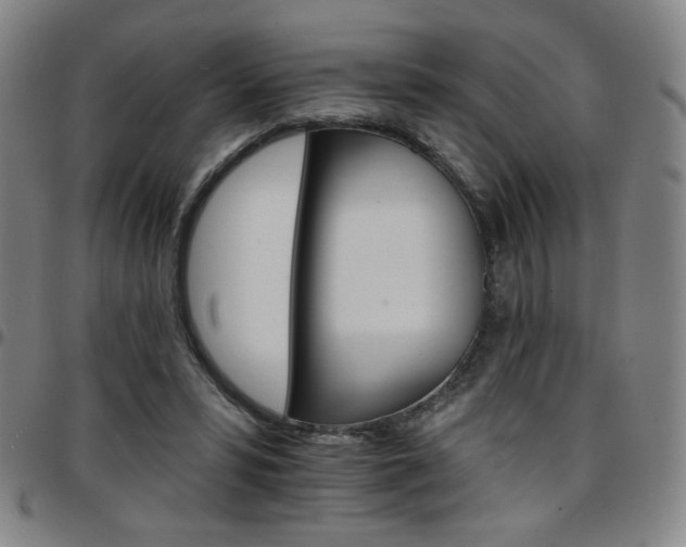 X0000097670399200803071559