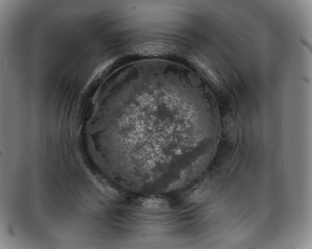 X0000097670400200803071559