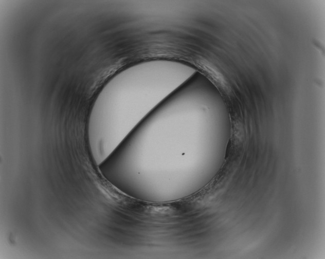 X0000097670401200803071559