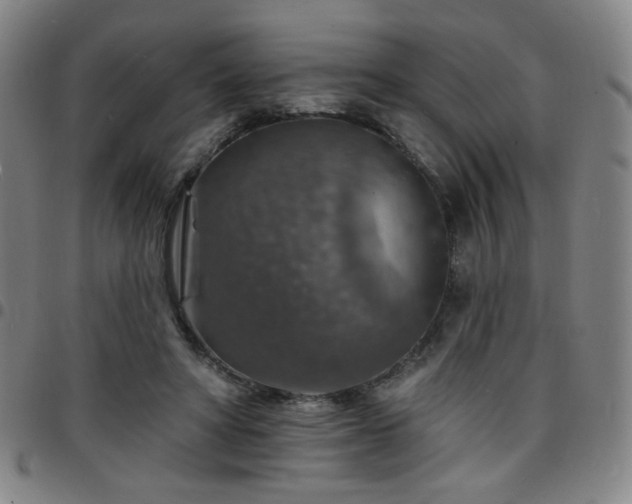 X0000097670402200803071559