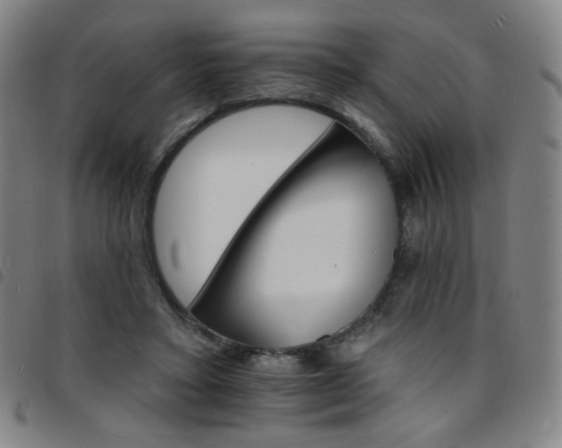 X0000097670403200803071559