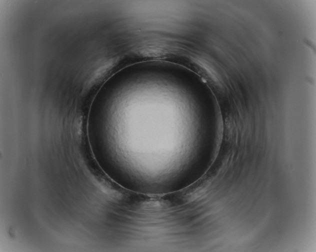X0000097670404200803071559