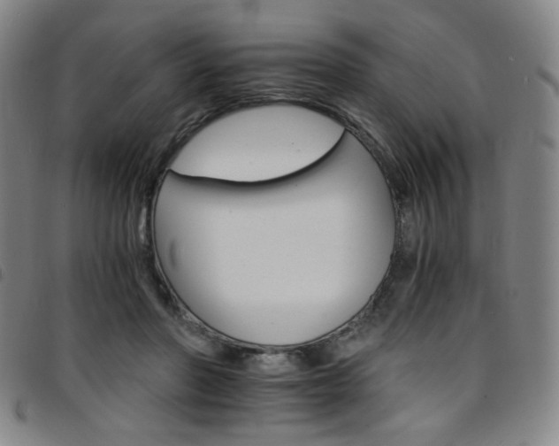 X0000097670406200803071559