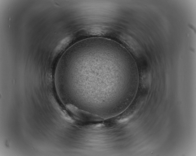 X0000097670407200803071559