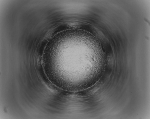 X0000097670408200803071559