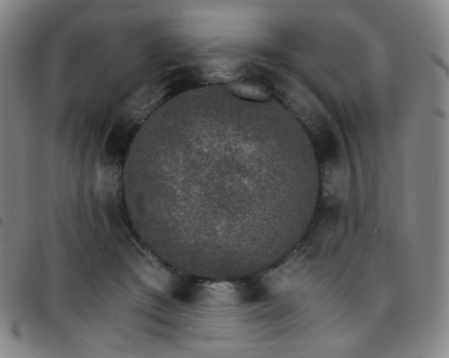 X0000097670409200803071559