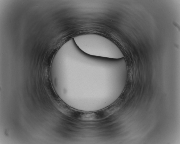 X0000097670410200803071559