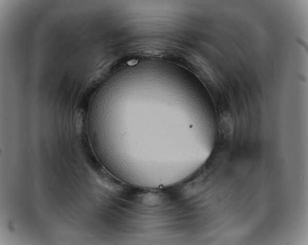 X0000097670412200803071559