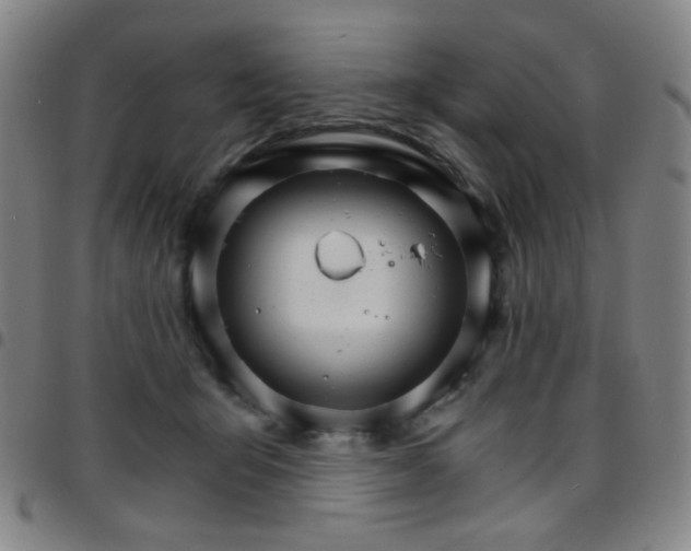 X0000097670415200803071559