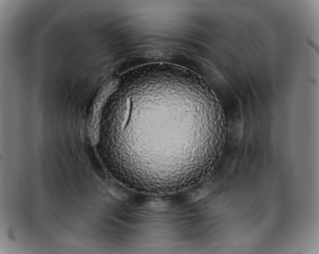 X0000097670416200803071559