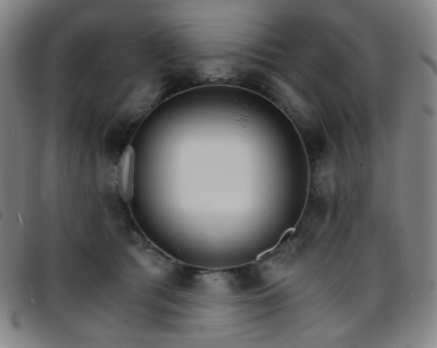 X0000097670417200803071559
