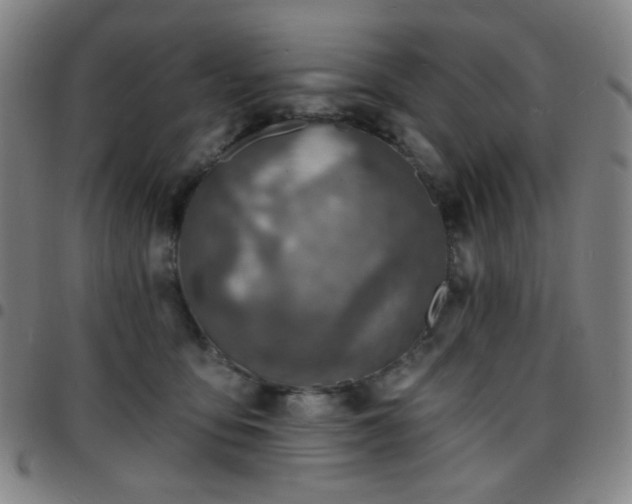 X0000097670419200803071559