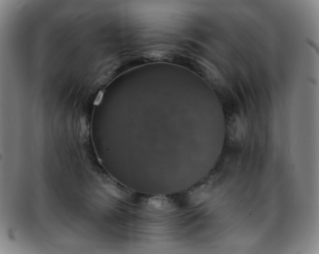 X0000097670420200803071559