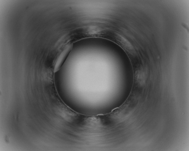 X0000097670421200803071559