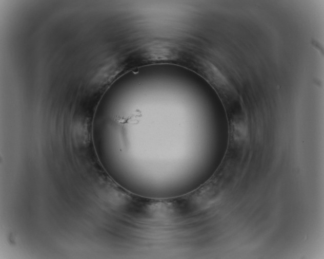 X0000097670422200803071559