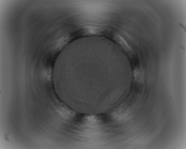 X0000097670423200803071559