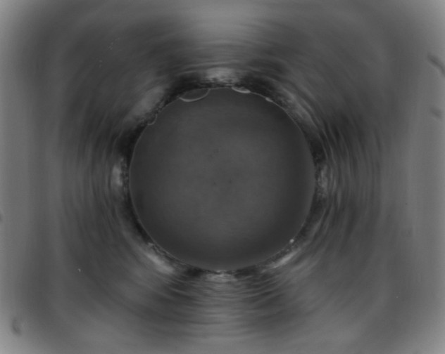 X0000097670424200803071559