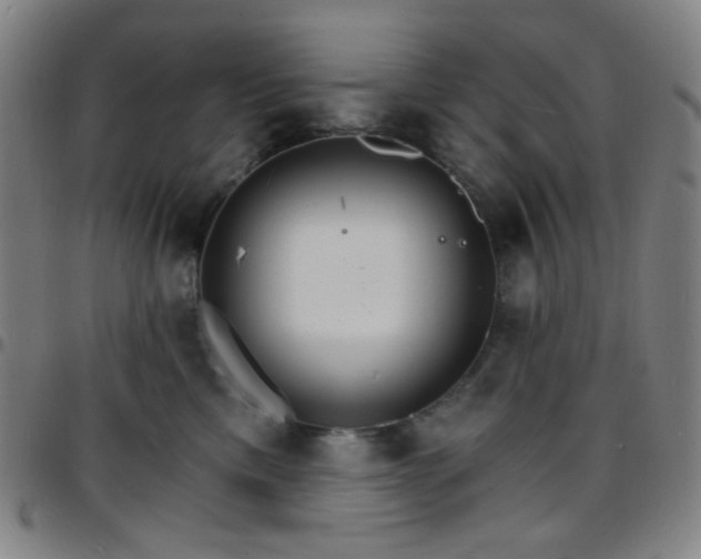 X0000097670425200803071559