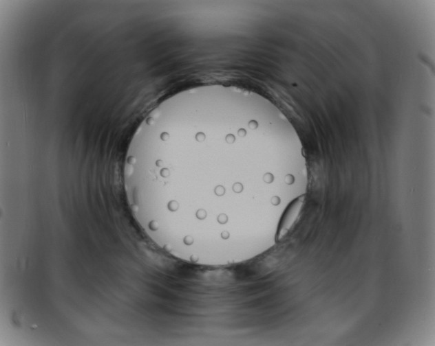 X0000097670426200803071559