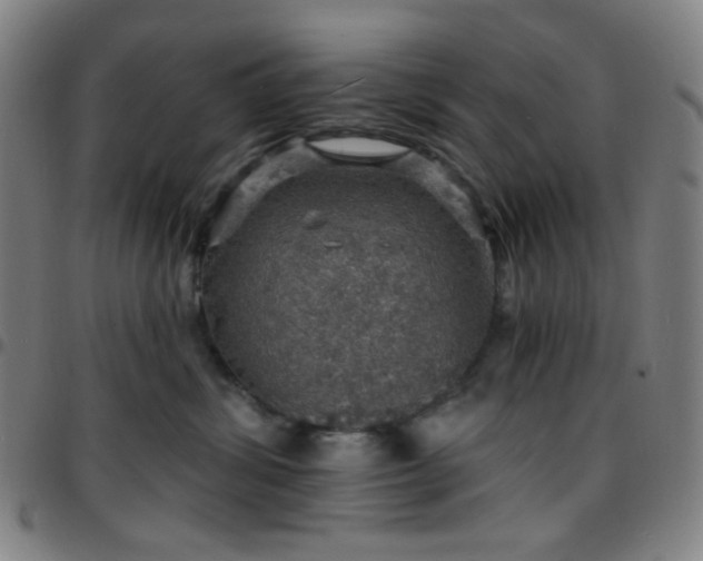 X0000097670428200803071559
