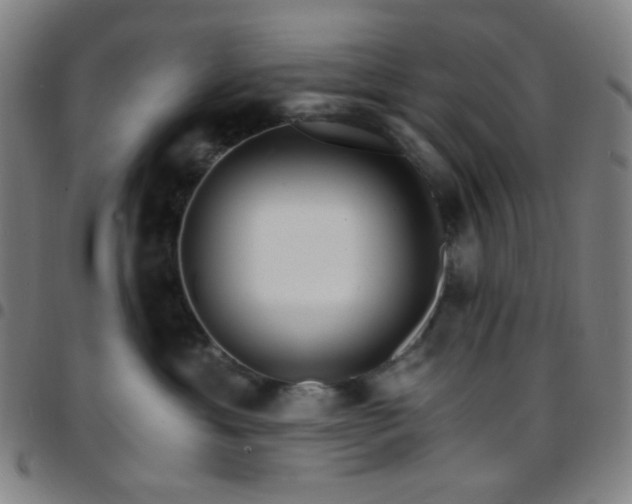 X0000097670429200803071559