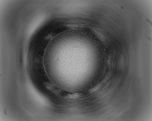 X0000097670430200803071559