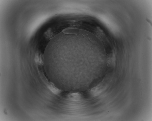 X0000097670431200803071559