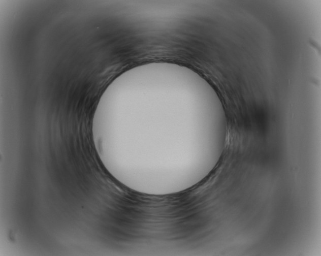X0000097670432200803071559