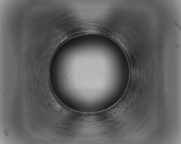 X0000097670433200803071558