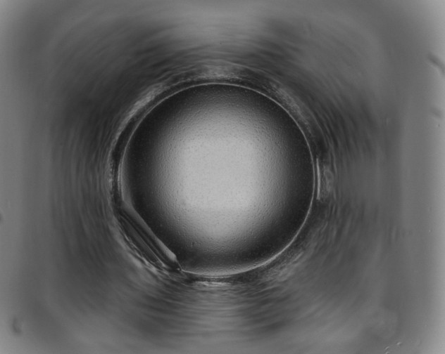 X0000097670435200803071558