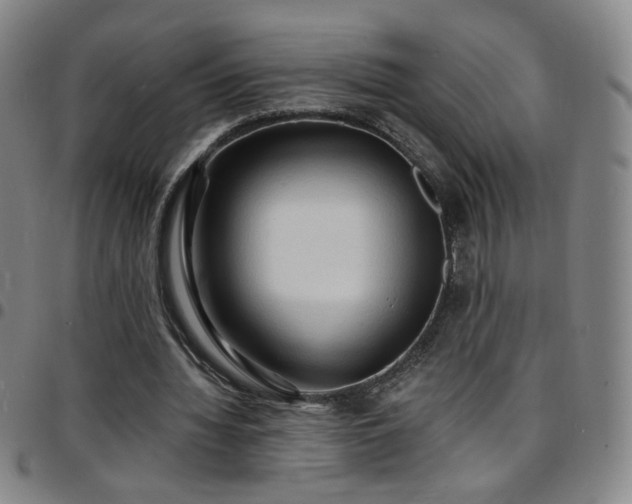 X0000097670436200803071558