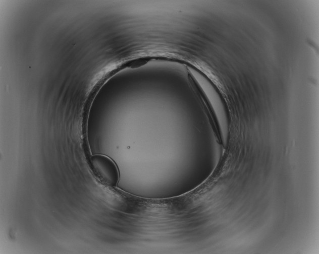 X0000097670438200803071558