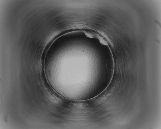 X0000097670439200803071558
