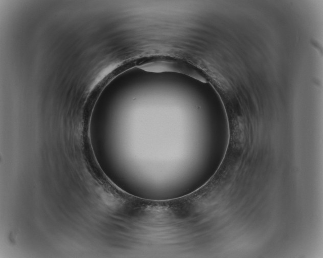 X0000097670440200803071558