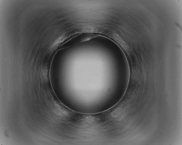 X0000097670441200803071558