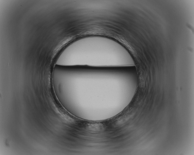 X0000097670446200803071558