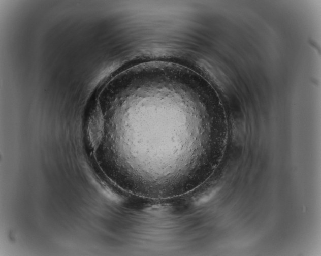 X0000097670447200803071558