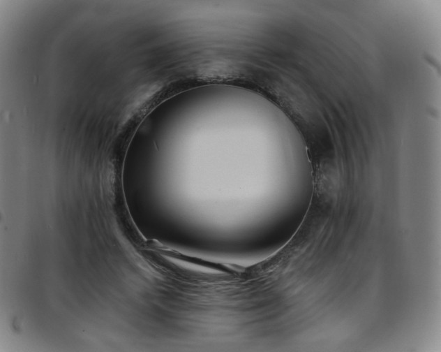 X0000097670448200803071558