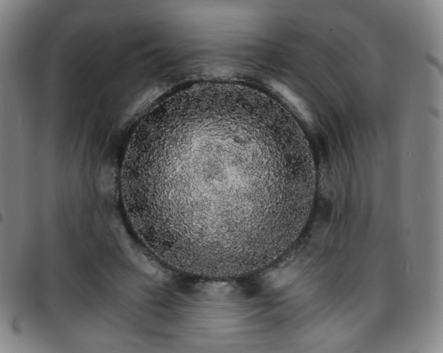 X0000097670449200803071558