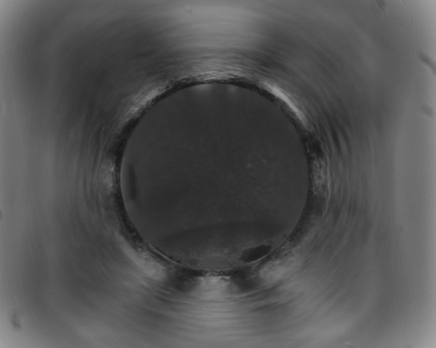 X0000097670451200803071558