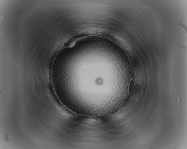X0000097670453200803071558