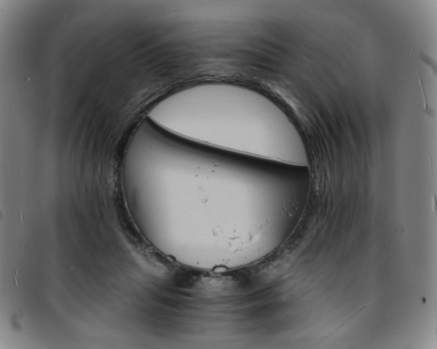 X0000097670455200803071558