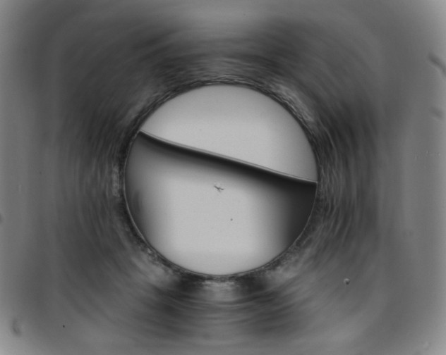 X0000097670457200803071558