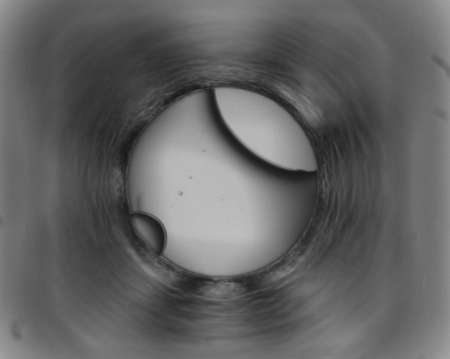 X0000097670459200803071558
