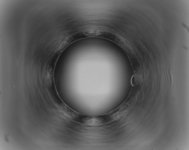 X0000097670460200803071558