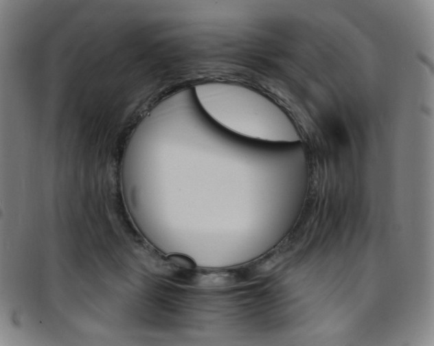 X0000097670461200803071558