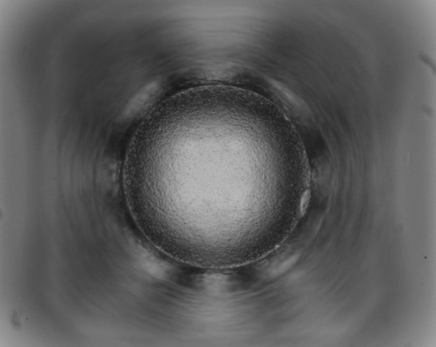X0000097670462200803071558